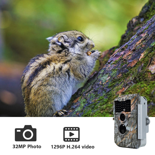 Bundle Wireless WiFi Wildlife Trail Camera with Night Vision Motion Activated 32MP 1296P Waterproof and Solarpanel-Kits 8000mAh | W600