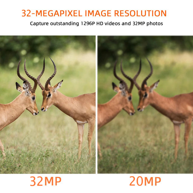 2-Pack Wireless Bluetooth WiFi Game Trail Deer Camera 32MP 1296P Video Night Vision No Glow Motion Activated Waterproof Photo & Video Model | W600 Red