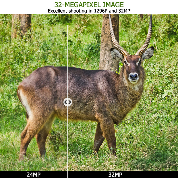 Wireless Bluetooth WildlifeTrail Camera with Night Vision Motion Activated 32MP 1296P Waterproof Stealth Camouflage for Hunting, Home Security