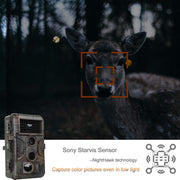 2-Pack Wildlife Trail Camera with Night Vision 0.1S Trigger Motion Activated 24MP 1296P IP66 Waterproof for Hunting & home security | A323