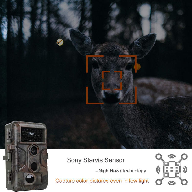 Bundle: Wildlife Trail Camera with Night Vision Motion Activated 0.1S Trigger Speed 24MP 1296P IP66 + SD card reader + 64Gb SD card