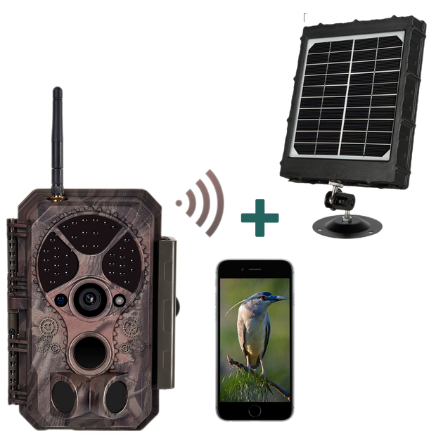 Bundle of Solar Panel and Bluetooth WIFI Game Camera 32MP 1296P Black Flash Wildlife Cam Night Vision Motion Activated Waterproof | A350W Red