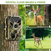 32MP photo 4K 2160P Full HD video Trail camera with audio and motion detector Night vision max. distance up to 100ft, 0.1s trigger speed, Waterproof IP66 | T326 Green