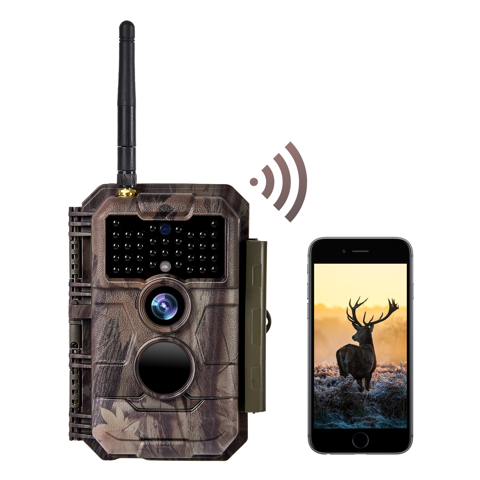 BlazeVideo Wildlife Trail Cameras, Monitor Nature and Hunting